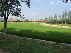 -乌村