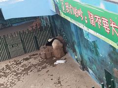 -沈阳森林动物园