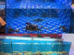 -东厨虾煌(电子街店)