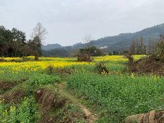 -樱桃山旅游景区