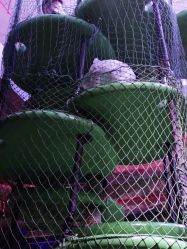 -恐龙探索乐园(磁器口店)