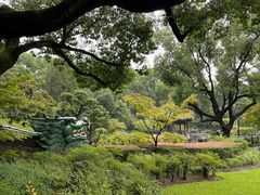 -申粤轩酒楼·三十年粤菜经典(丁香花园店)