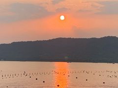 -西湖外事游船(湖滨二公园外事游船码头)