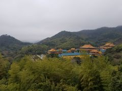 -天下玉苑
