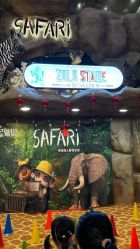 -卡通尼·Safari非洲探索乐园·生日会(金桥国际商业广场店)