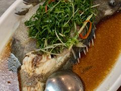 -四海之家(蛇口店)