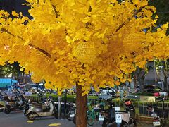 -福田卓悦INTOWN购物中心
