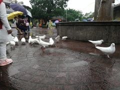 -东部华侨城