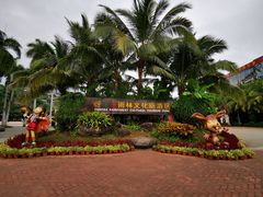-呀诺达热带雨林