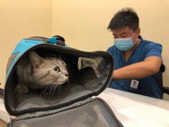 -萌兽医馆·犬猫专科·眼科中心·宠物医院(朝阳门分院)