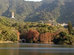 -深圳仙湖植物园