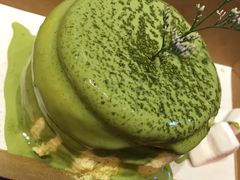 -狐狸和向日葵(北京路店)