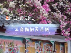 -深圳国际园林花卉博览园