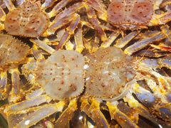 -海景壹号大酒店(滨湖店)