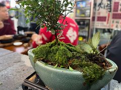 -陈婆婆砂锅·椒麻水煮鱼·特色小炒