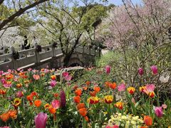 -苏州上方山国家森林公园