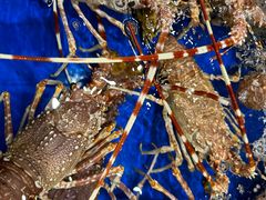 -海景壹号大酒店(惠钱路店)