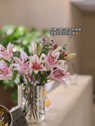 -KONSISTANT科思坦汀问题肌·科技美肤