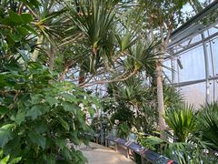 -北京植物园-展览温室