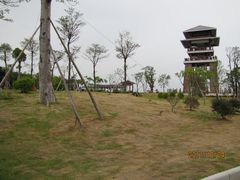 -大湾区中央湿地公园