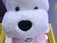 -天空之城游乐体验世界(义乌之心店)