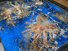 -七鲜超市(万向城店)