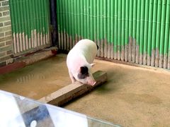 -杭州野生动物世界