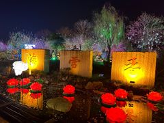 -香雪海
