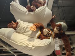 -宜家家居(四元桥商场店)