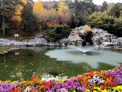 -香山公园