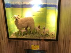 -清真·益鑫羊肉手抓馆(花园北街店)