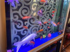 -白马宴·椒麻鸡(新华南路店)