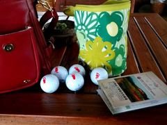 -海南鉴湖蓝湾高尔夫球会