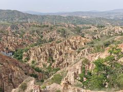 -元谋土林景区(物茂土林)