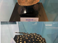 -大连自然博物馆