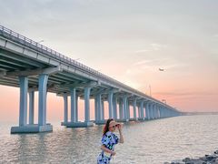 -宝安西湾红树林湿地公园