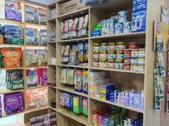 -天使宠物医院·犬猫分诊(彩虹店)