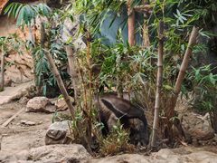 -长鹿旅游休博园