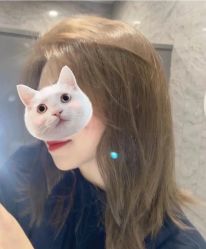 -菲·木田moontin造型salon