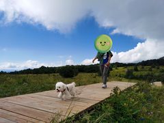 -白草畔自然风景区