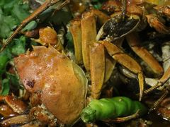 -二钳洞庭虾蟹·江湖菜(成都鹭岛店)