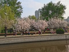 -元大都城垣遗址公园