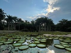 -中国科学院西双版纳热带植物园