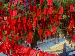 -护国法轮寺