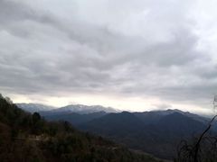 -黑河国家森林公园