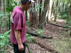 -腾冲云峰山