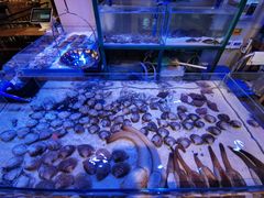 水产区-十六蒲(桂林路店)