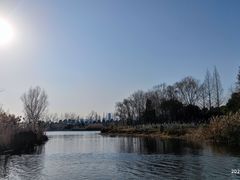 -洋湖国家湿地公园