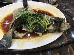 -蚝专家(北滘店)
