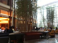 -上海雅居乐万豪侯爵酒店